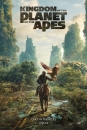 APES4 - Kingdom of the Planet of the Apes