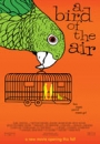 ABOTA - A Bird of the Air