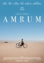 AMRUM - Amrum