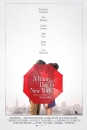 ARDNY - A Rainy Day in New York