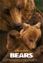 BEAR - Bears