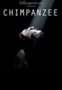 CHIMP - Chimpanzee