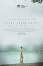 COTNT - Cottontail