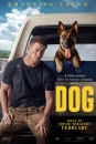 DOG - Dog