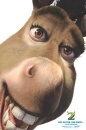 DONKE - Donkey
