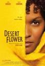 DSFLW - Desert Flower