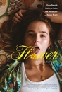 FLWER - Flower