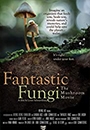 FUNGI - Fantastic Fungi