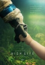 HLIFE - High Life