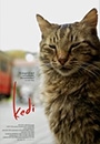 KEDI - Kedi