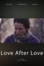 LVALV - Love After Love