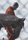 MSTNG - The Mustang