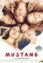 MUSTN - Mustang