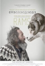 RAMS - Rams
