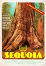 SEQOA - Sequoia