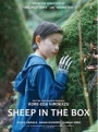 SHPBX - Sheep in the Box