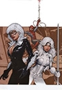 SLBLC - Silver & Black aka Black Cat