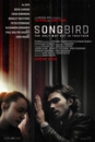 SNGBD - Songbird
