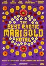 TBEMH - The Best Exotic Marigold Hotel