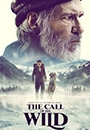 TCOTW - The Call of the Wild