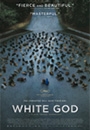 WHTGD - White God